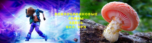 молекула духа Алексин
