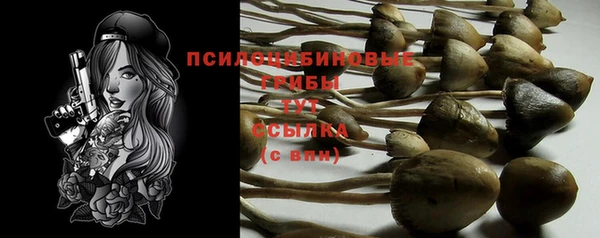 спайс Алзамай