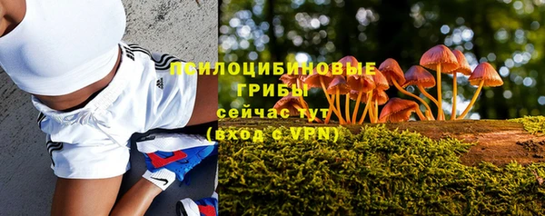 молекула духа Алексин