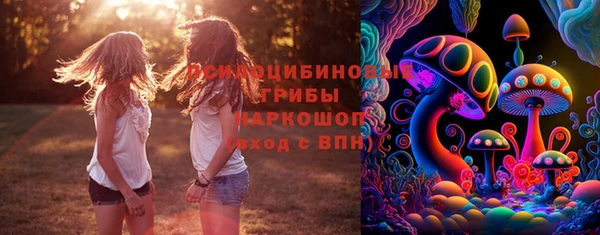молекула духа Алексин